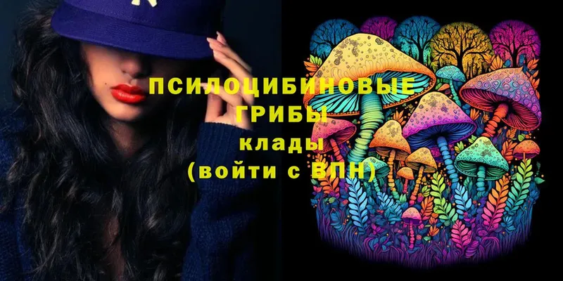 Галлюциногенные грибы Magic Shrooms  Урюпинск 